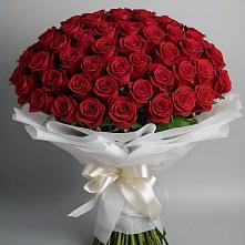 Букет 101 Красная роза Блэк Мэджик в Гулькевичах