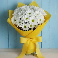 Букет цветов из:  Хризантемы в Гулькевичах