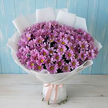 Букет цветов из:  Хризантемы в Гулькевичах