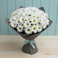 Букет цветов из:  Хризантемы #REPLACE_PRED# Гулькевичах