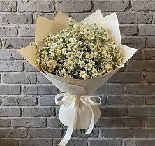Букет цветов из:  Ромашки в Гулькевичах