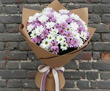 Букет цветов из:  Хризантемы в Гулькевичах