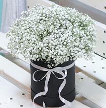 Цветочная композиция из Гипсофила в шляпной коробке #REPLACE_PRED# Гулькевичах