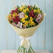 Букет цветов из:  Альстромерии в Гулькевичах