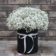 Цветочная композиция из Гипсофила в шляпной коробке в Гулькевичах