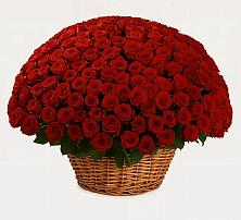 Премиум букет из: Розы в Гулькевичах