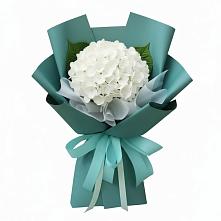 Букет цветов из:  Гортензия в Гулькевичах
